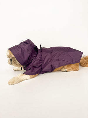 Purple Raincoat | For Dogs | Pawgy Pets