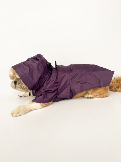Purple Raincoat | For Dogs | Pawgy Pets