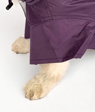 Raincoat: Purple