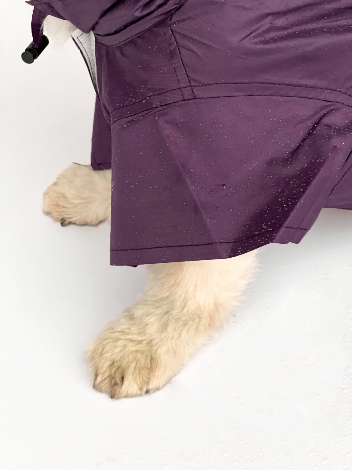 Purple Raincoat | For Dogs | Pawgy Pets