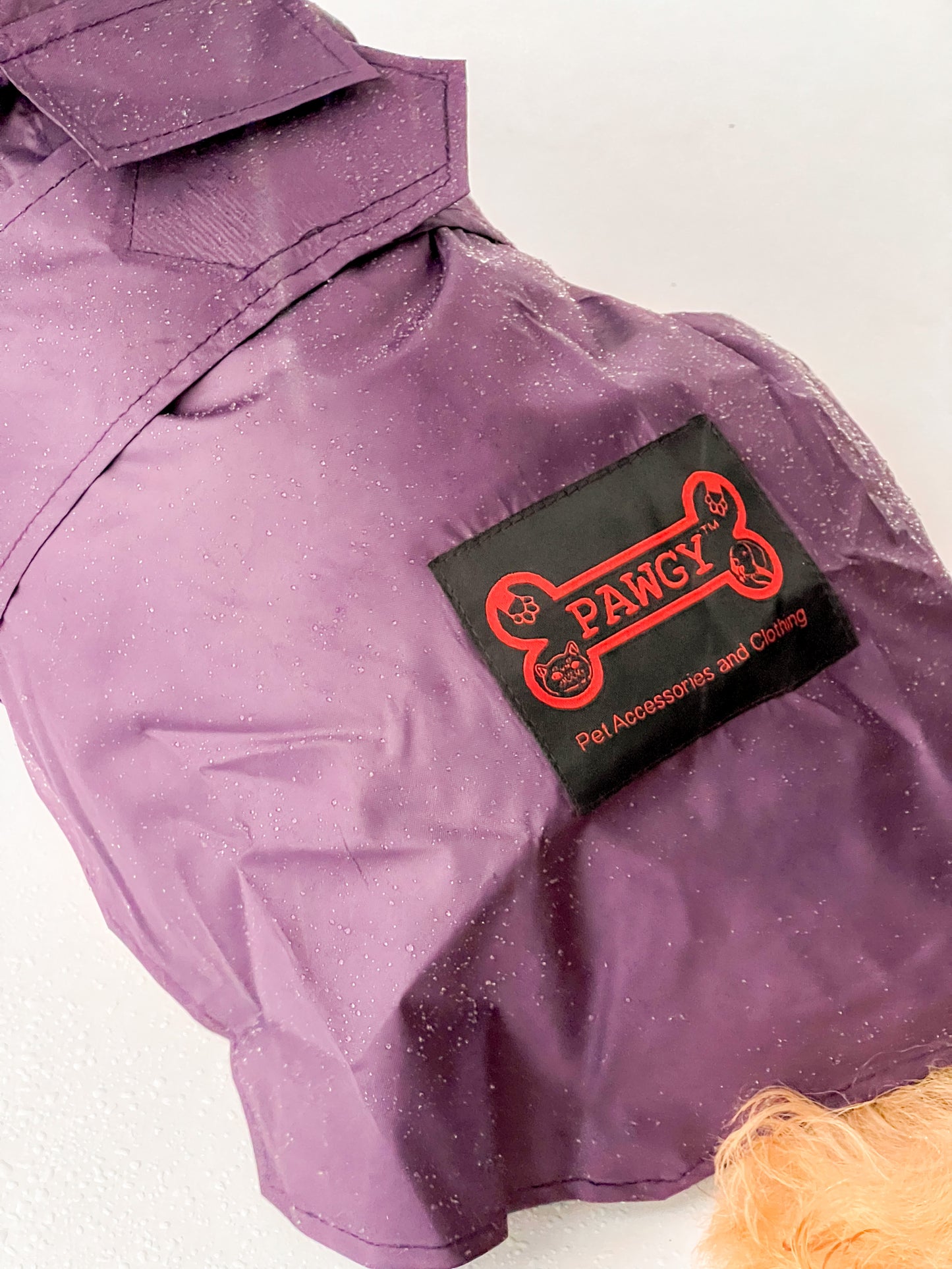 Purple Raincoat | For Dogs | Pawgy Pets