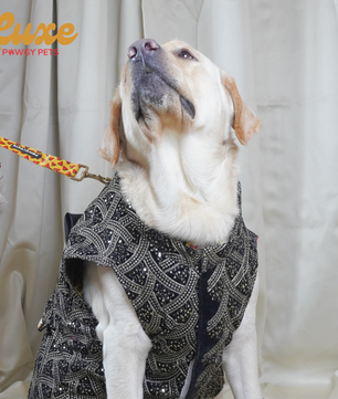 Luxe by Pawgy Pets embroidered Velvet Sherwani Black