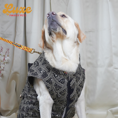 Black Embroidered Velvet Sherwani | Luxe Collection | Pawgy Pets