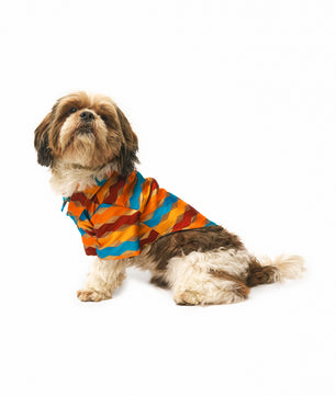 Pawgy Pets Multi-stripe Shirt for Dogs