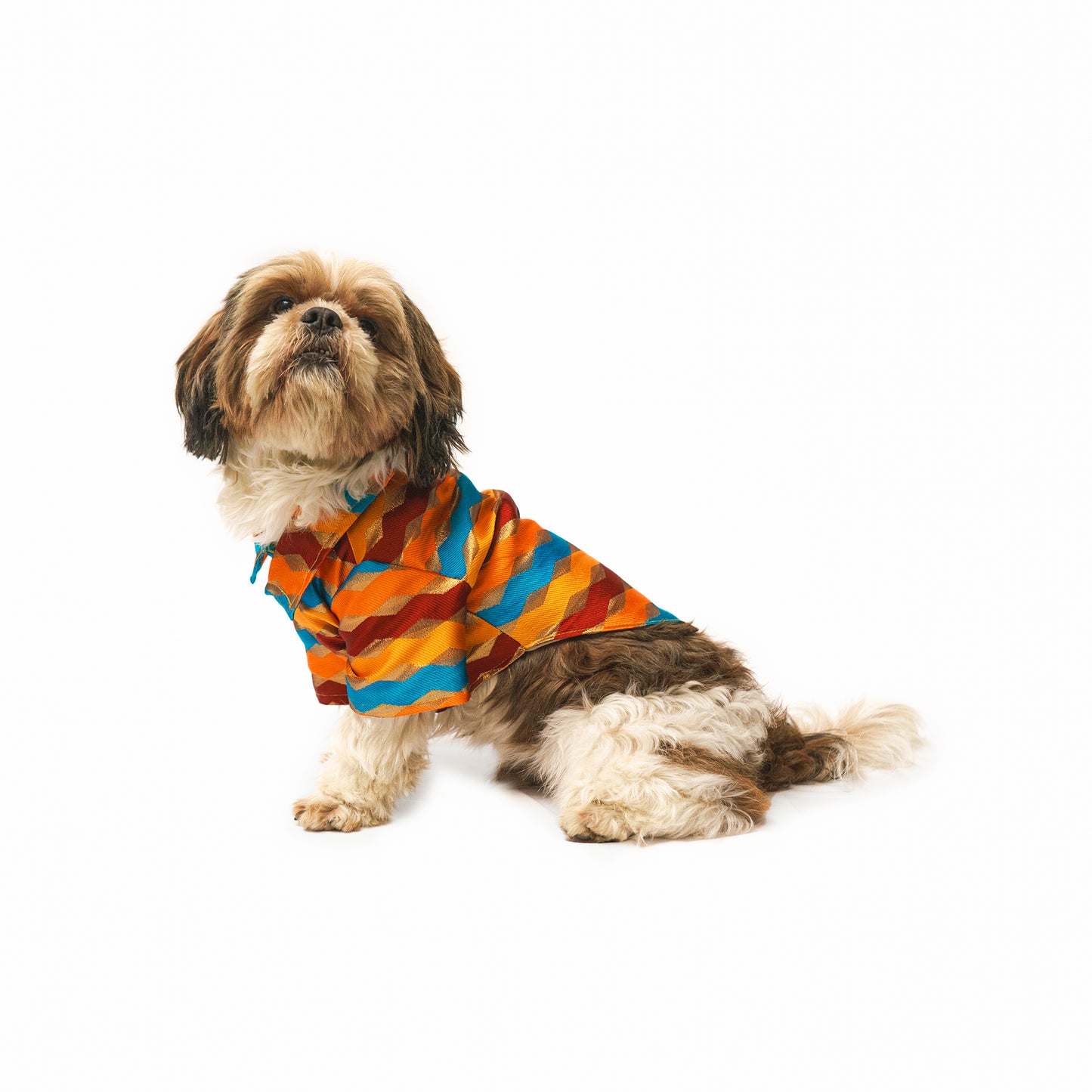 Pawgy Pets Multi-stripe Shirt for Dogs