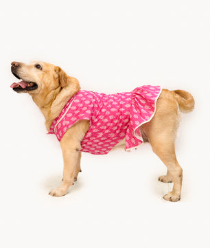 Pawgy Pets Heritage Handblock Dress Pink for Dogs