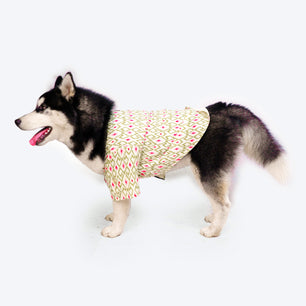 Pawgy Pets Heritage Summer Kurta (Off white with pink) for Dogs