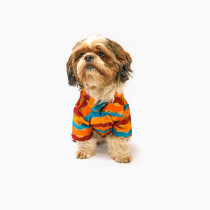 Pawgy Pets Multi-stripe Shirt for Dogs