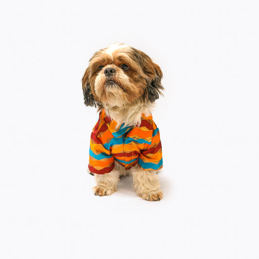 Pawgy Pets Multi-stripe Shirt for Dogs