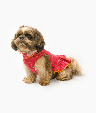 Pawgy Pets Formal Pink Check Ruffle Dress for Dogs