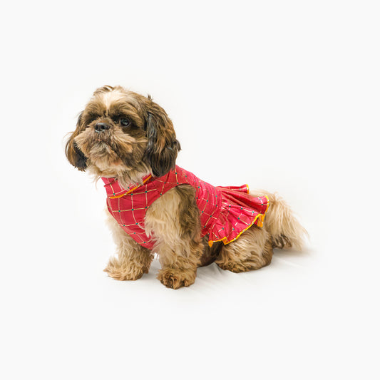 Pawgy Pets Formal Pink Check Ruffle Dress for Dogs