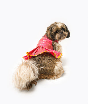 Pawgy Pets Formal Pink Check Ruffle Dress for Dogs