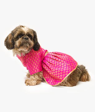 Pawgy Pets Occasion wear Dress Pink for Dogs