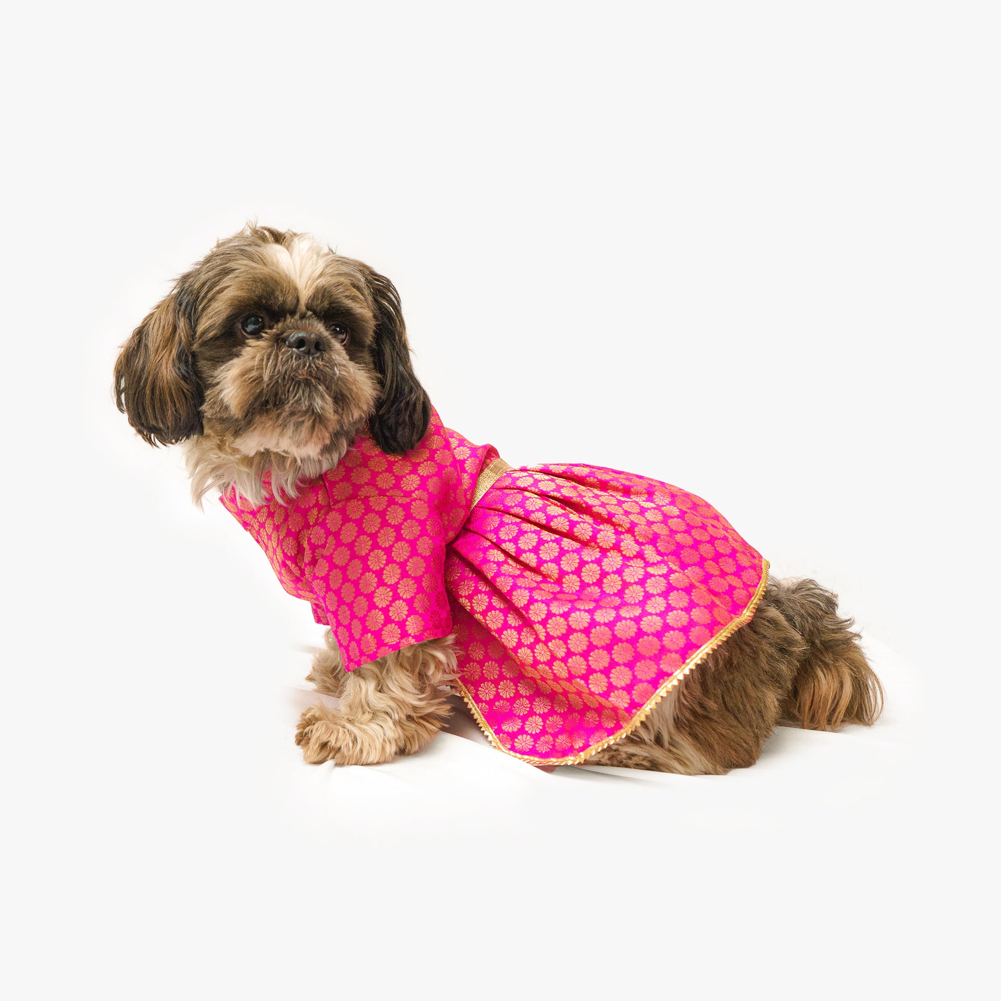 Pawgy Pets Occasion wear Dress Pink for Dogs