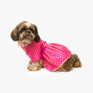 Pink Occasion Wear Dress | For Dogs | Pawgy Pets