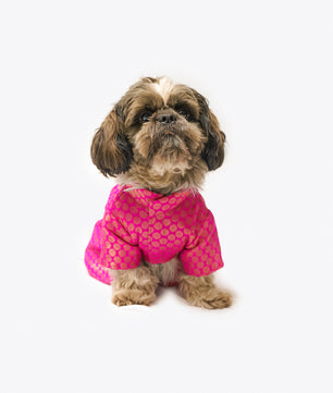 Pawgy Pets Occasion wear Dress Pink for Dogs