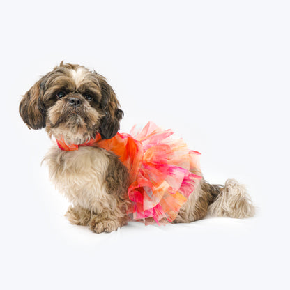 Orange Frilly Dress | For Dogs | Pawgy Pets
