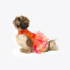 Pawgy Pets Frilly Dress Orange for Dogs