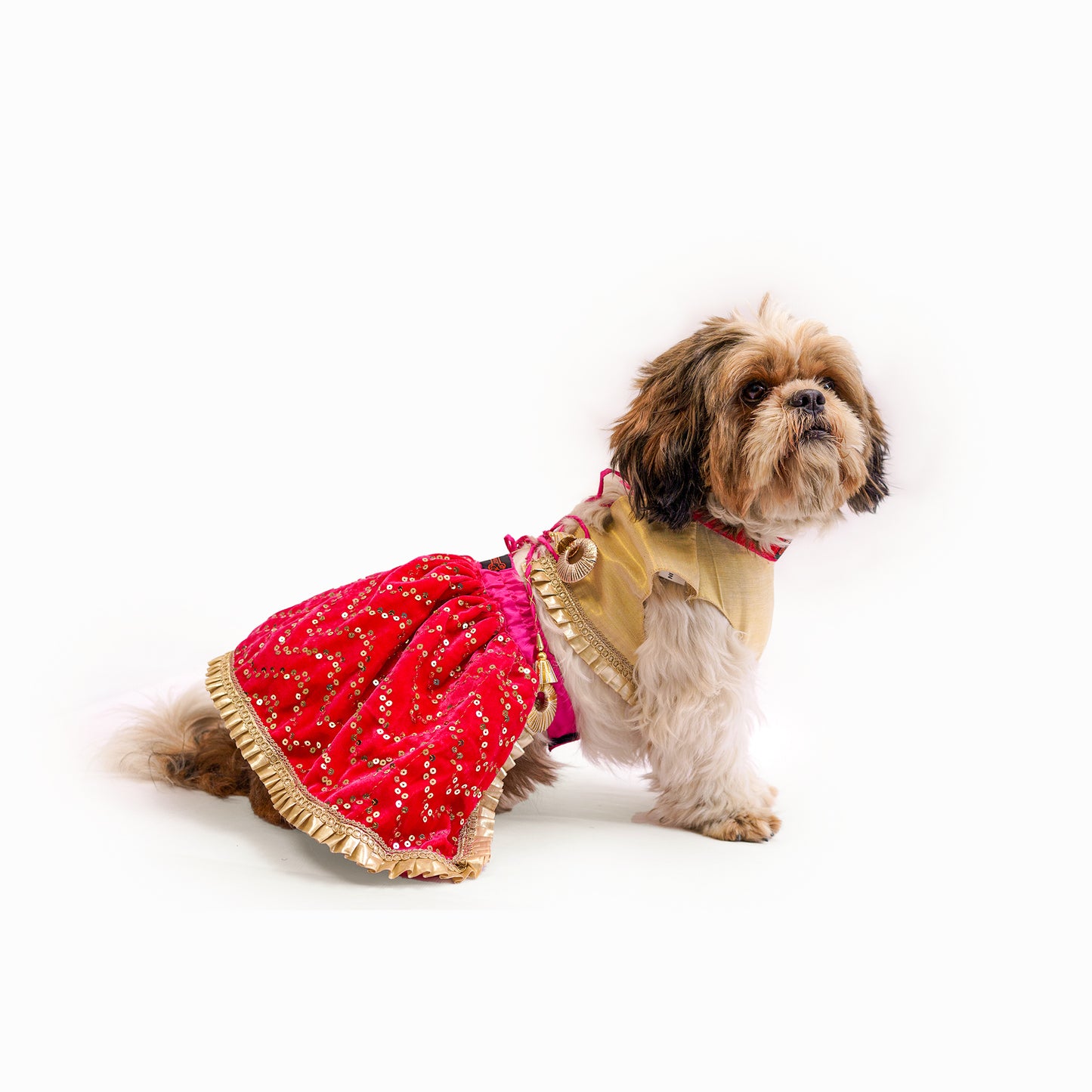 Pawgy Pets Lehenga Pink velvet and golden for Dogs & Cats