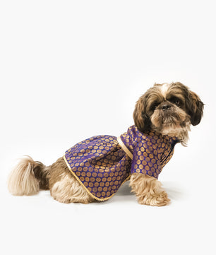 Pawgy Pets Occasion wear Dress Navy for Dogs