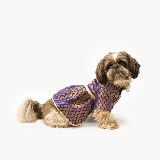 Pawgy Pets Occasion wear Dress Navy for Dogs