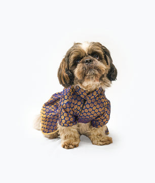 Pawgy Pets Occasion wear Dress Navy for Dogs