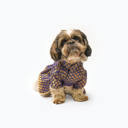 Navy Blue Occasion Wear Dress | For Dogs | Pawgy Pets