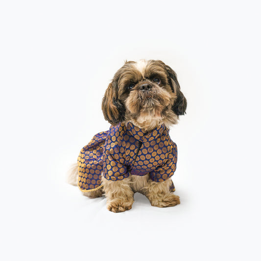Pawgy Pets Occasion wear Dress Navy for Dogs