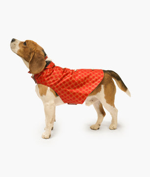 Pawgy Pets Strapy Sherwani Red for Dogs