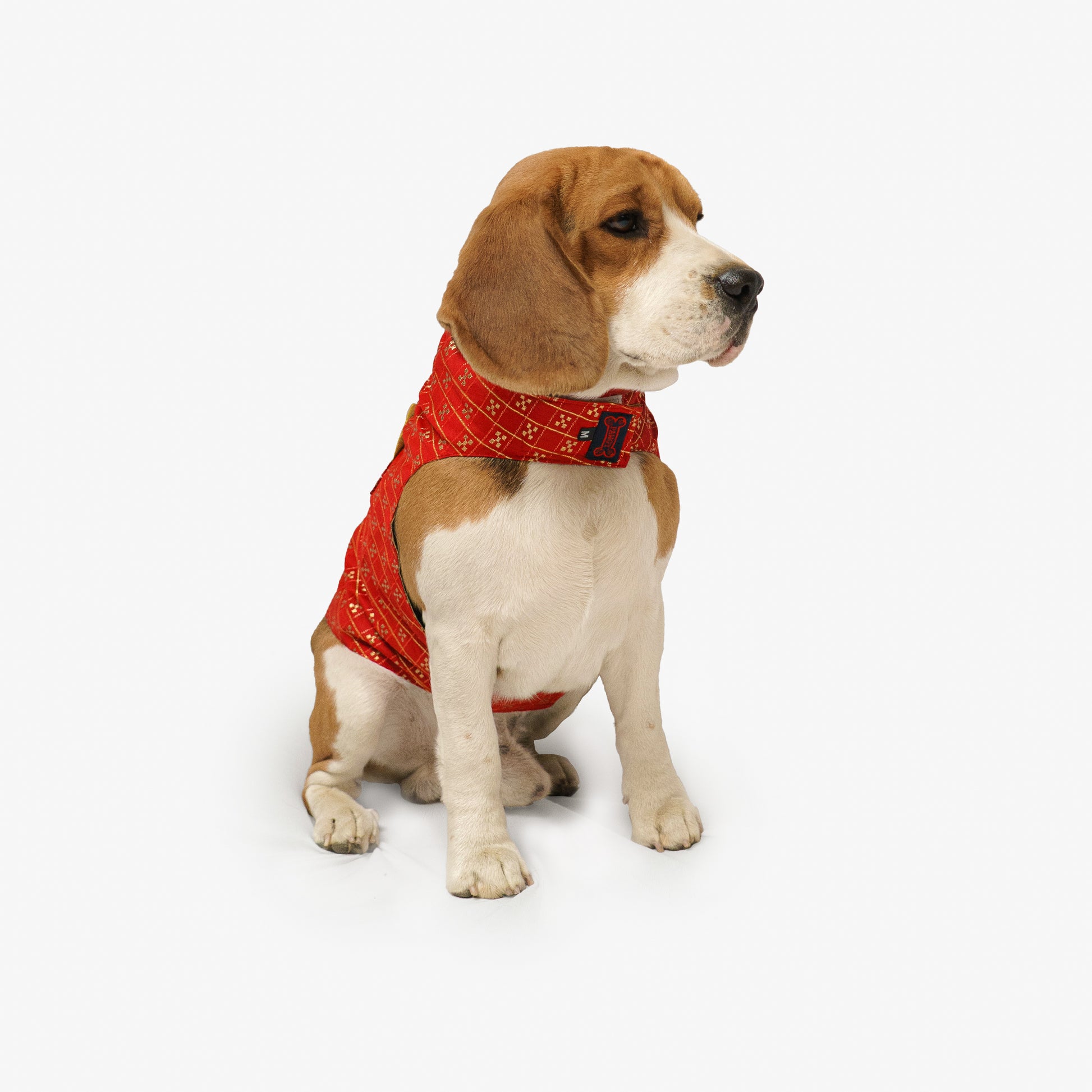 Pawgy Pets Strapy Sherwani Red for Dogs