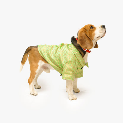 Pista Green Occasion Wear Shirt | For Dogs | Pawgy Pets