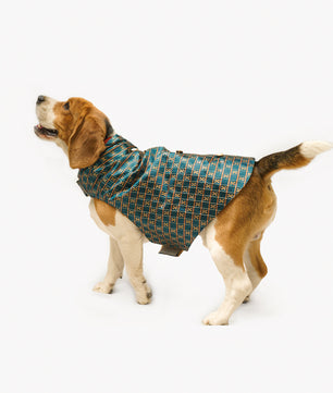 Pawgy Pets Strapy Sherwani Peacock Blue for Dogs