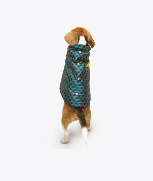 Pawgy Pets Strapy Sherwani Peacock Blue for Dogs