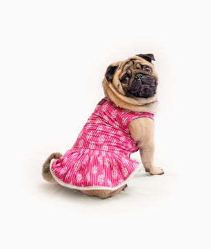 Pawgy Pets Heritage Handblock Dress Pink for Dogs