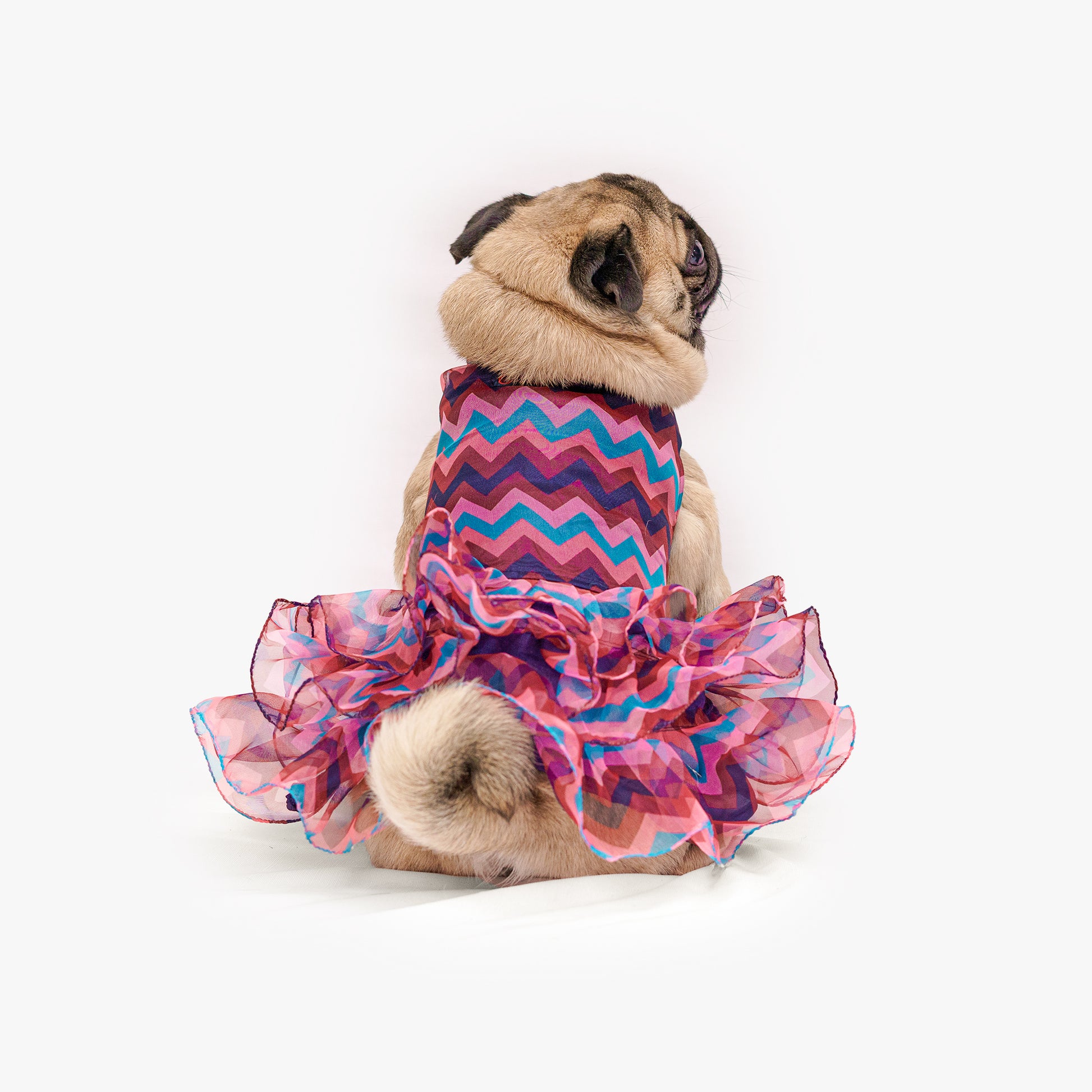 Pawgy Pets Frilly Dress Blue for Dogs