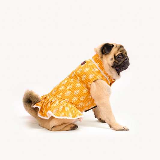 Pawgy Pets Heritage Handblock Dress Mustard for Dogs