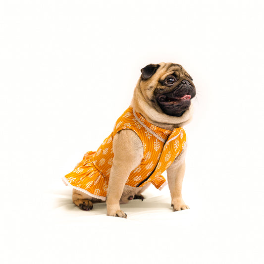 Pawgy Pets Heritage Handblock Dress Mustard for Dogs