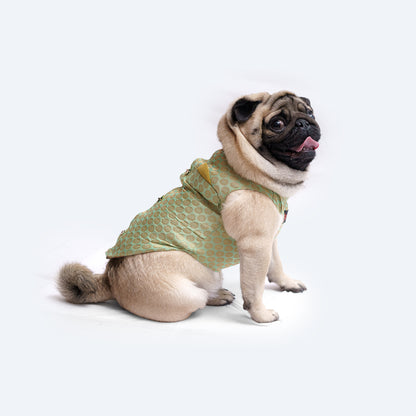 Pawgy Pets Sherwani Pista Green for Dogs