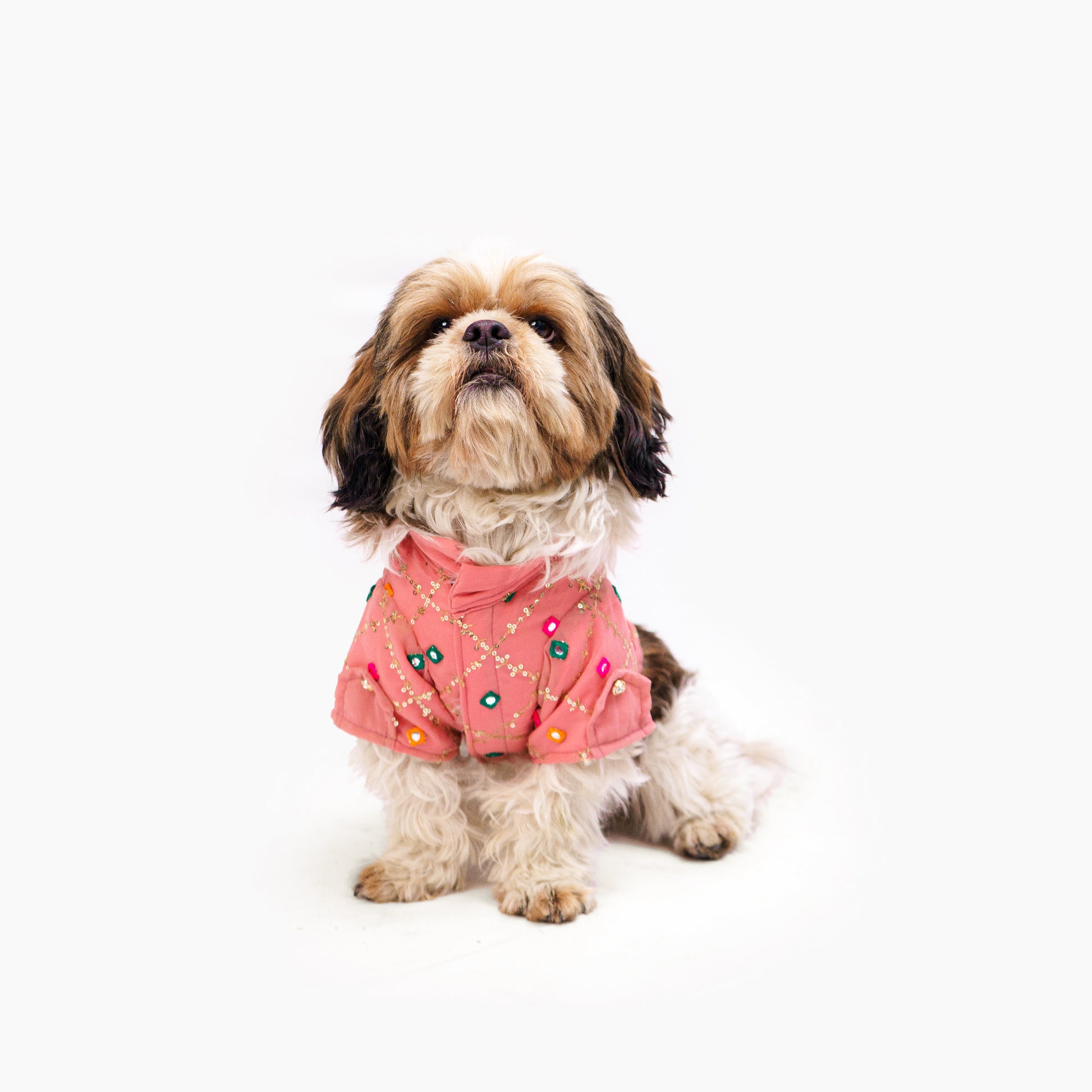 Pawgy Pets Festive Shirt Pink for Dogs