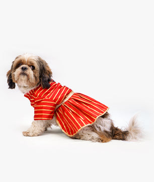 Pawgy Pets Gota Dress Red for Dogs