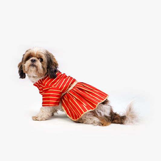 Pawgy Pets Gota Dress Red for Dogs