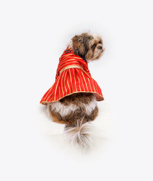 Pawgy Pets Gota Dress Red for Dogs