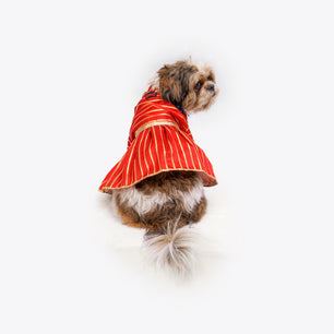 Pawgy Pets Gota Dress Red for Dogs