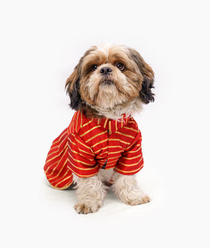Pawgy Pets Gota Dress Red for Dogs
