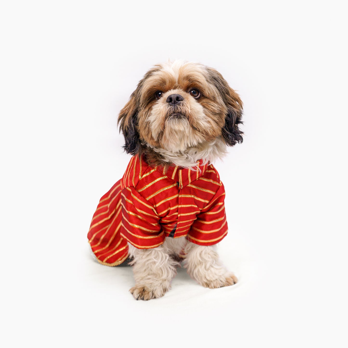 Pawgy Pets Gota Dress Red for Dogs