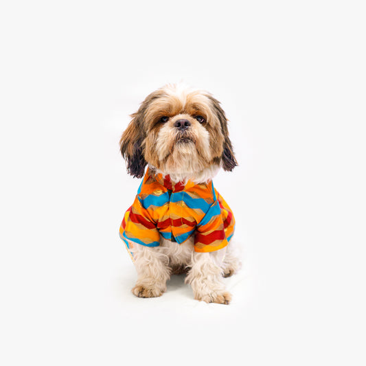Pawgy Pets Multi Stripe Dress for Dogs