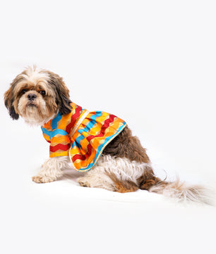 Pawgy Pets Multi Stripe Dress for Dogs