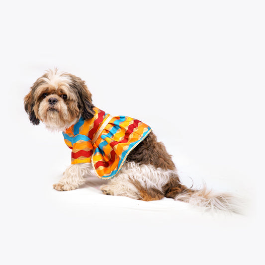 Pawgy Pets Multi Stripe Dress for Dogs