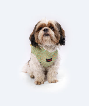 Pawgy Pets Sherwani Pista Green for Dogs