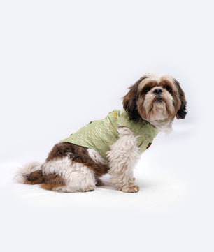 Pawgy Pets Sherwani Pista Green for Dogs